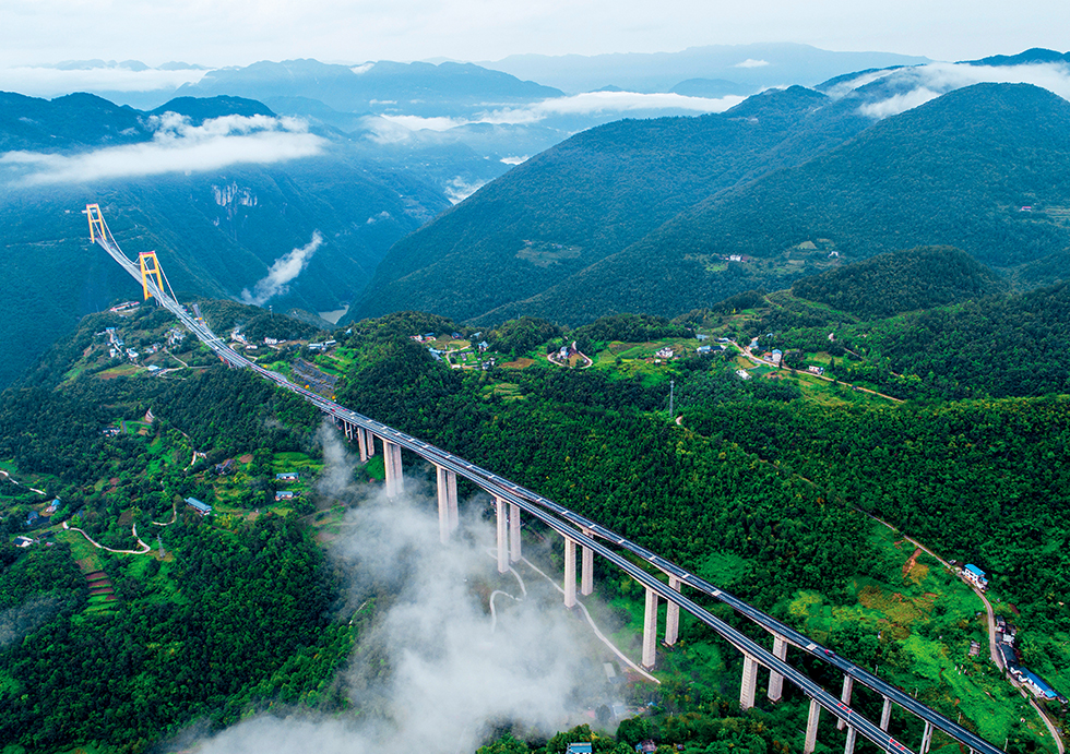 跨长江大桥的招标咨询